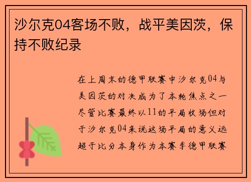 沙尔克04客场不败，战平美因茨，保持不败纪录